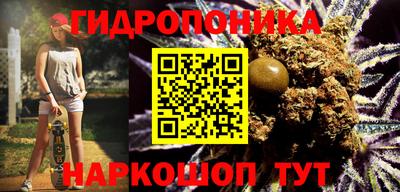 гашик Можайск