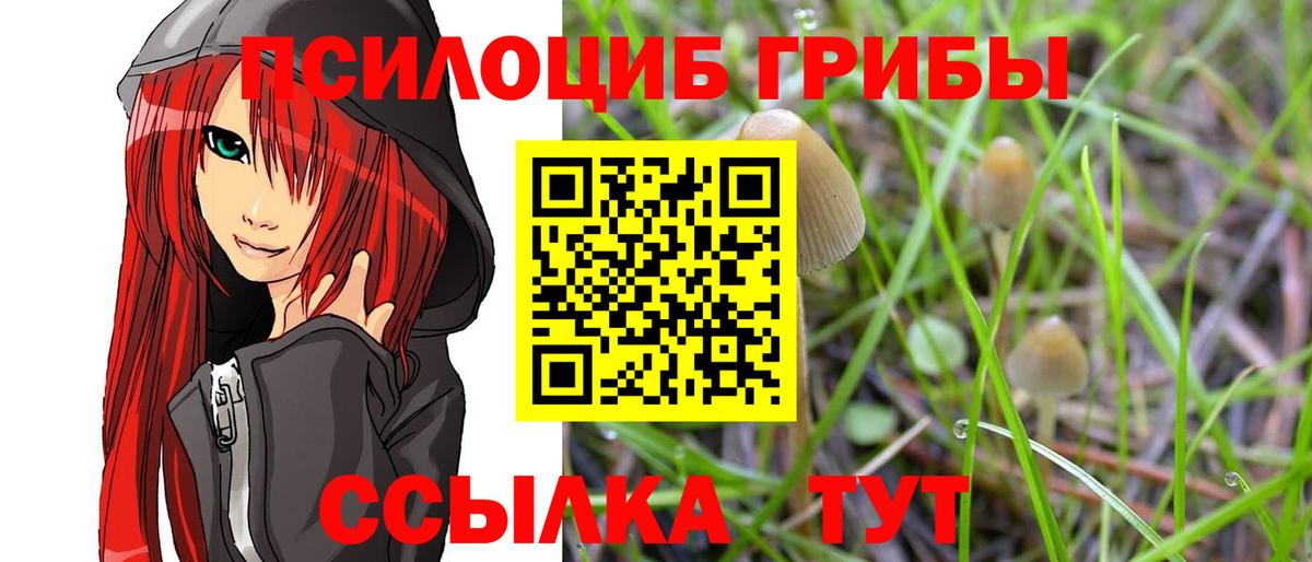 Галлюциногенные грибы GOLDEN TEACHER Великий Новгород