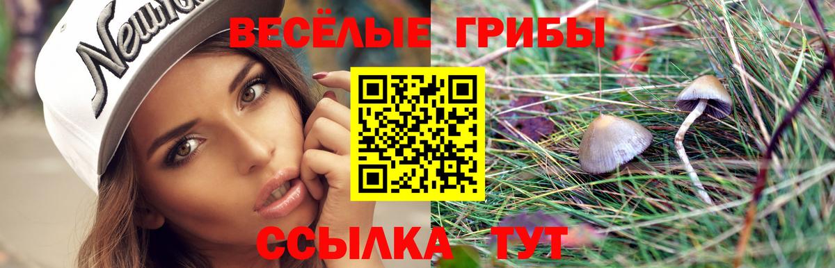 Галлюциногенные грибы ЛСД  Галлюциногенные грибы MAGIC MUSHROOMS  Вход с VPN  купить наркоту  Великий Новгород 